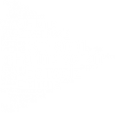 Zertifikat